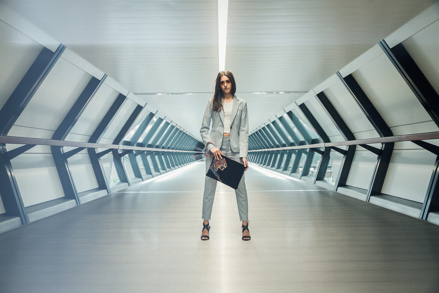 Big Cat Collection-2